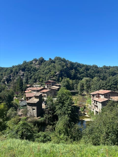 undefined Gallery Image 1