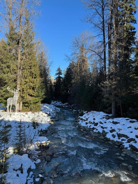 undefined Gallery Image 4