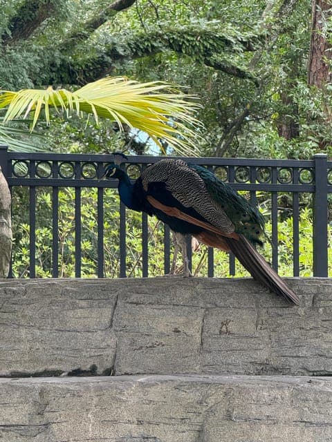 undefined Gallery Image 3