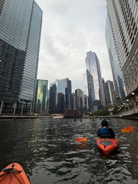 undefined Gallery Image 4