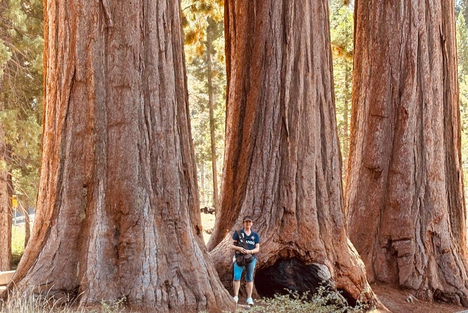 undefined Gallery Image 3