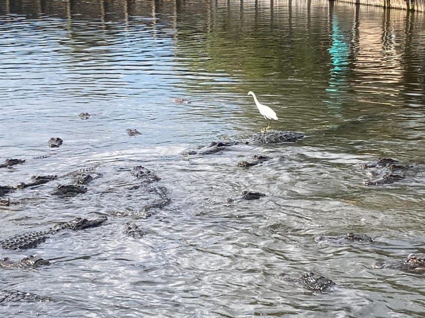 undefined Gallery Image 3