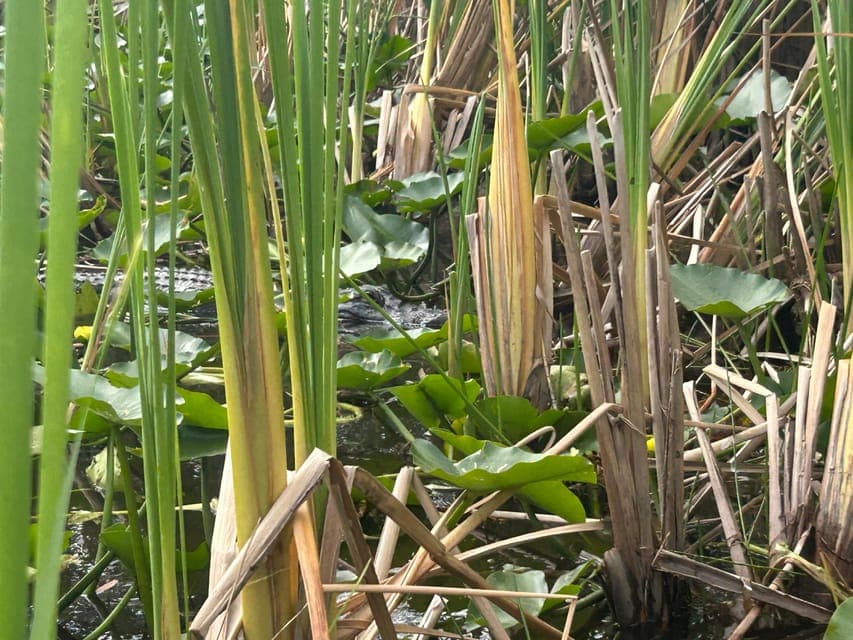 undefined Gallery Image 2