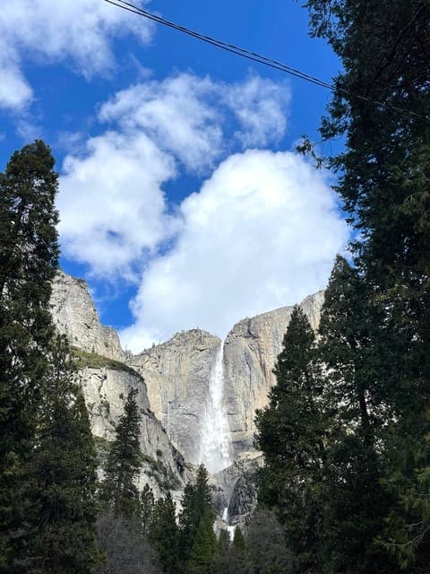 undefined Gallery Image 2