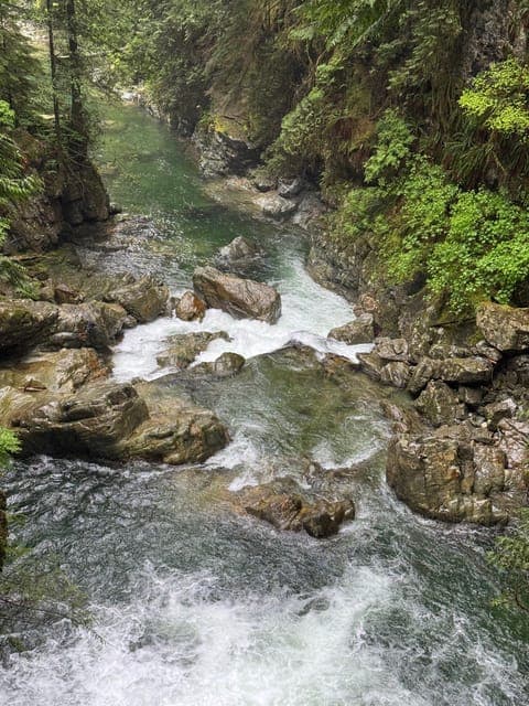 undefined Gallery Image 2