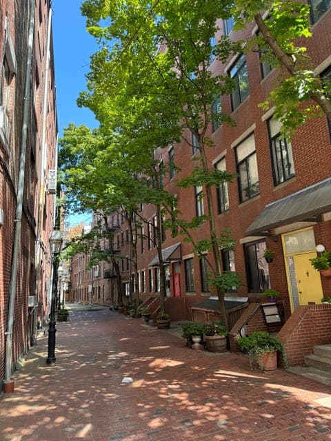 undefined Gallery Image 4