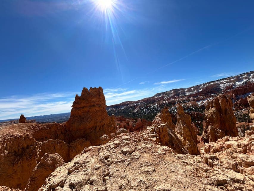 undefined Gallery Image 3