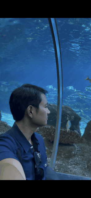 undefined Gallery Image 3