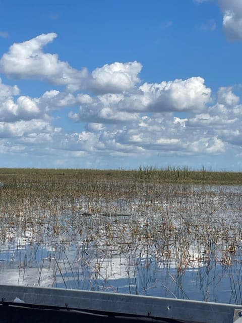 undefined Gallery Image 4