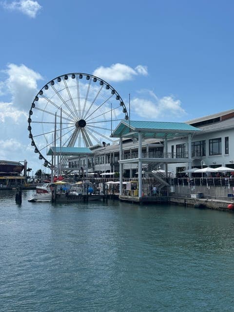 undefined Gallery Image 4