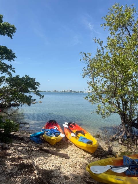 undefined Gallery Image 1