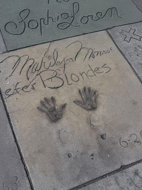 undefined Gallery Image 3