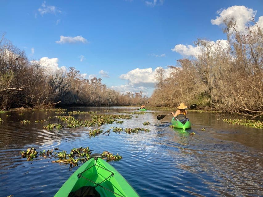 undefined Gallery Image 1