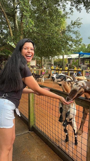 undefined Gallery Image 4