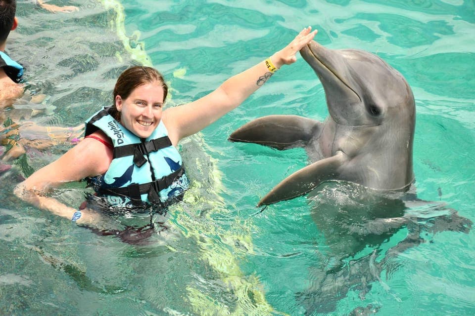 undefined Gallery Image 3