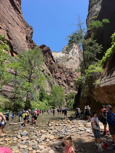 undefined Gallery Image 2