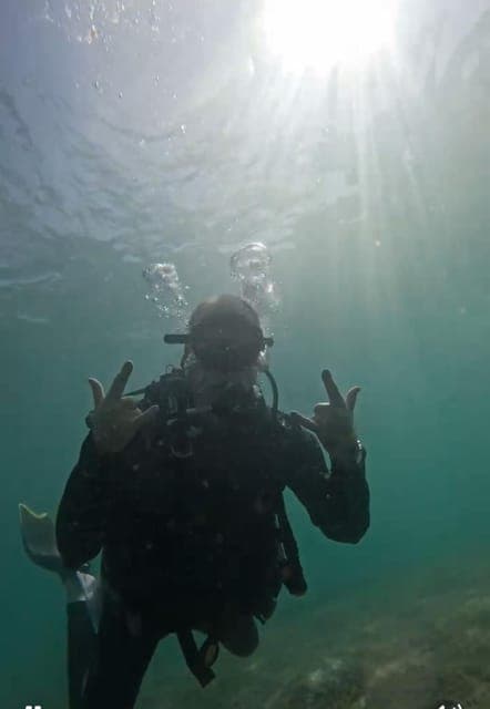 undefined Gallery Image 1