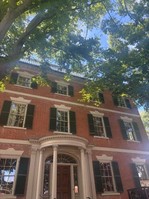 undefined Gallery Image 3