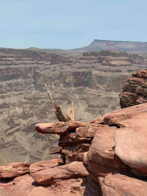 undefined Gallery Image 4