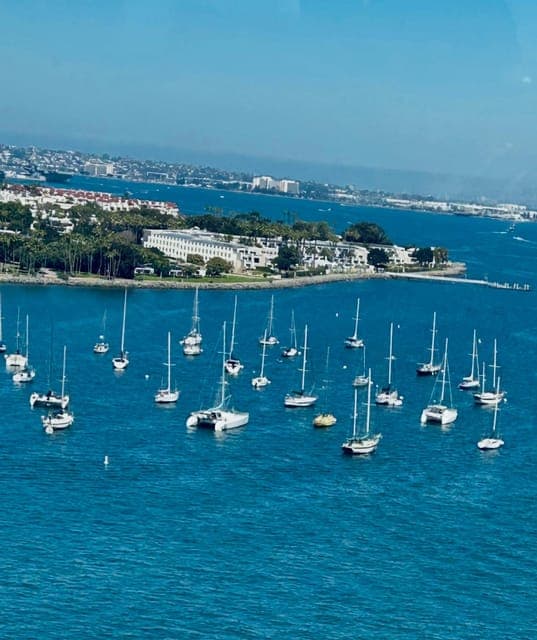 undefined Gallery Image 1