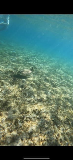 undefined Gallery Image 4