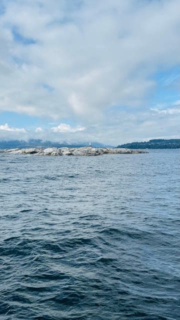 undefined Gallery Image 3