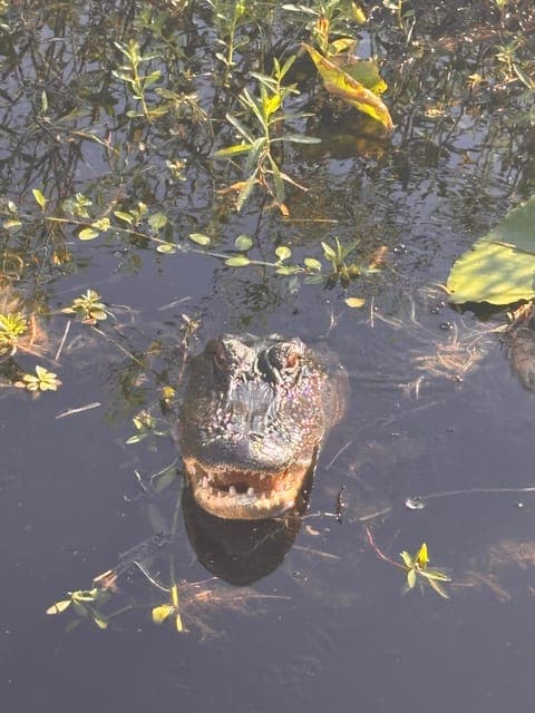 undefined Gallery Image 1