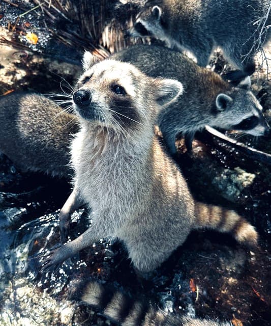 undefined Gallery Image 3