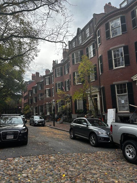 undefined Gallery Image 3