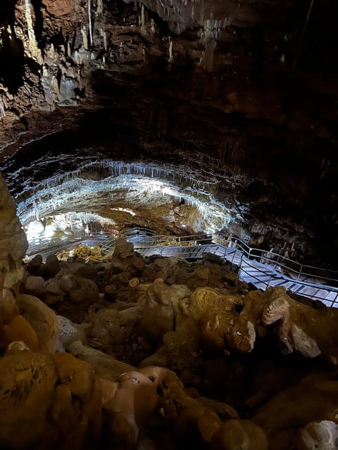 undefined Gallery Image 2