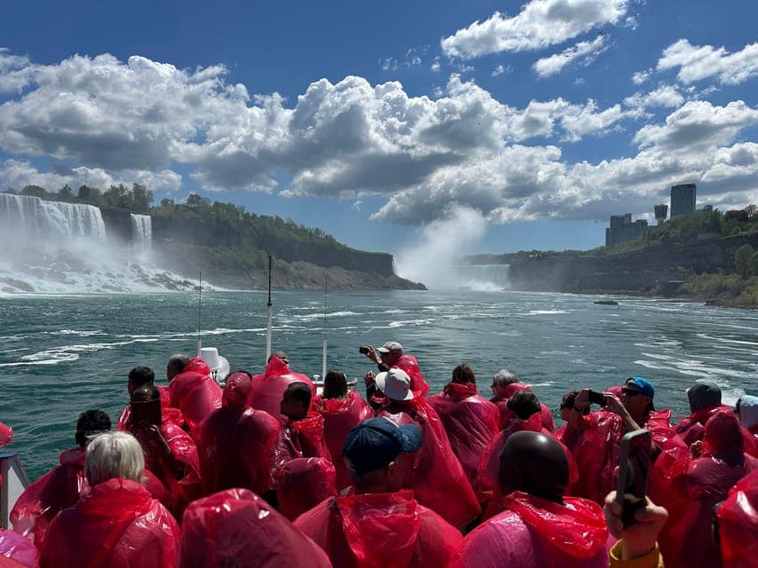 undefined Gallery Image 1