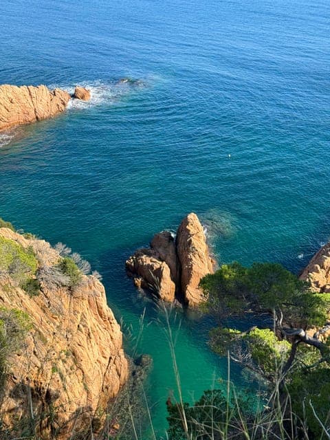 undefined Gallery Image 4