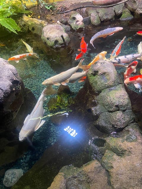 undefined Gallery Image 3