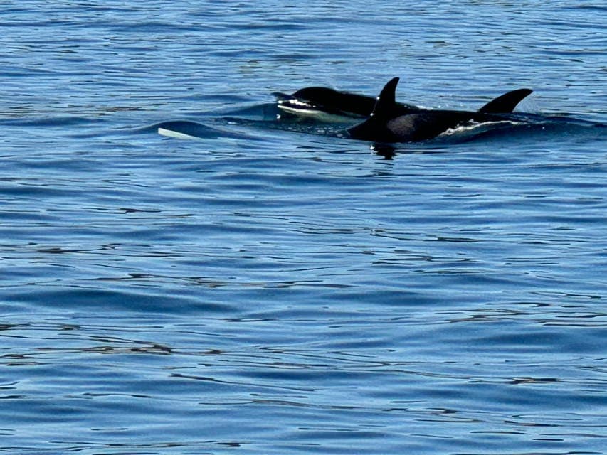 undefined Gallery Image 3