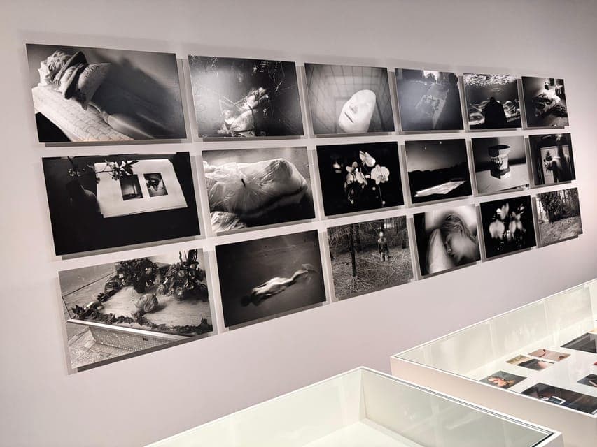 undefined Gallery Image 1