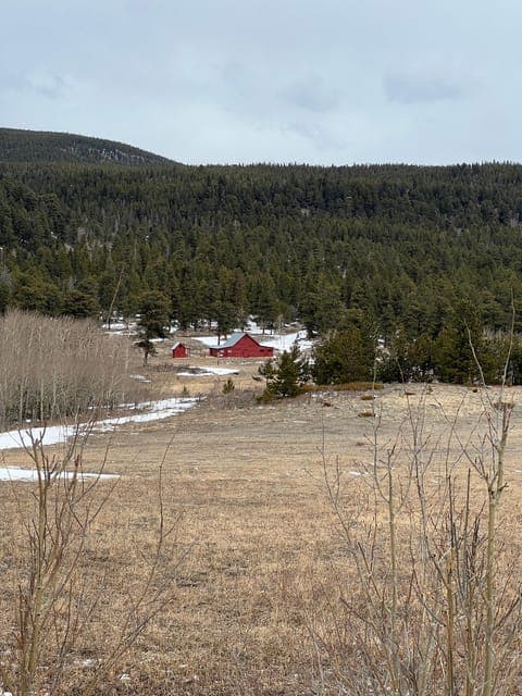 undefined Gallery Image 2