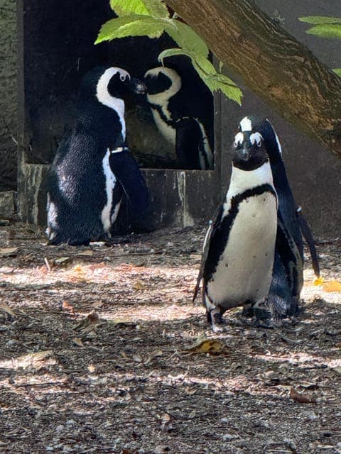 undefined Gallery Image 4