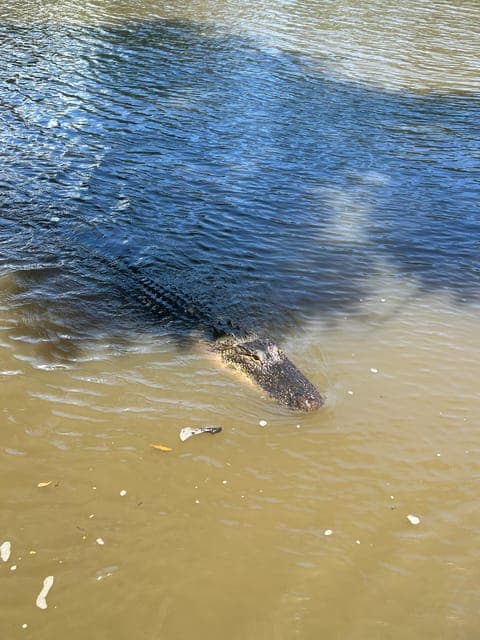 undefined Gallery Image 3