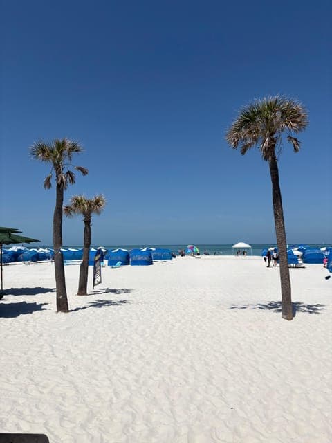 undefined Gallery Image 4