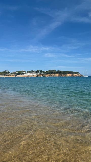 undefined Gallery Image 3