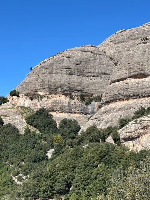 undefined Gallery Image 3