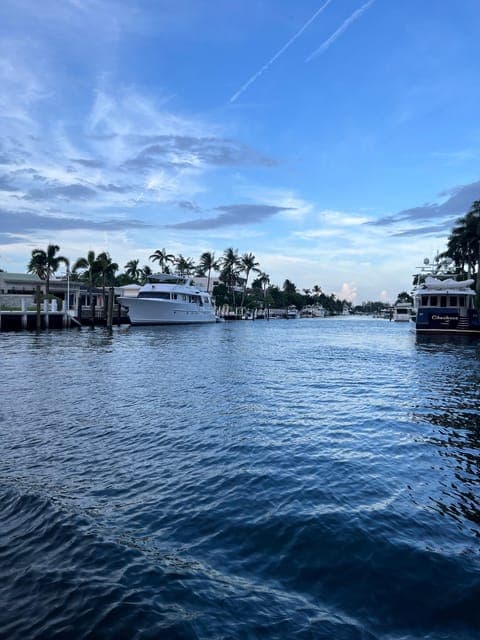 undefined Gallery Image 3