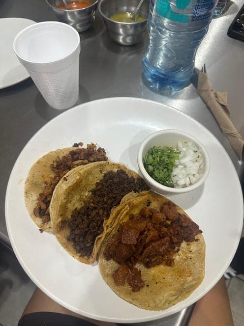 undefined Gallery Image 2