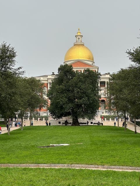 undefined Gallery Image 1