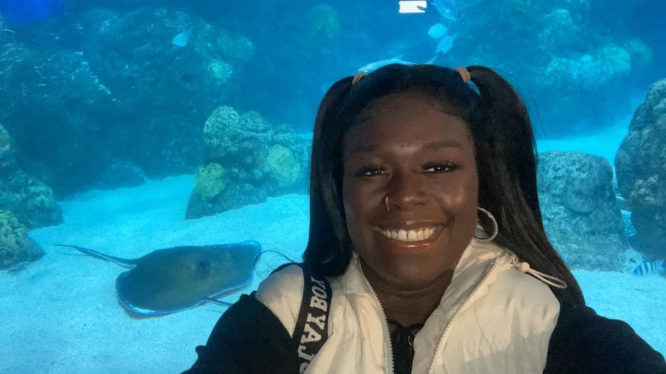 undefined Gallery Image 1