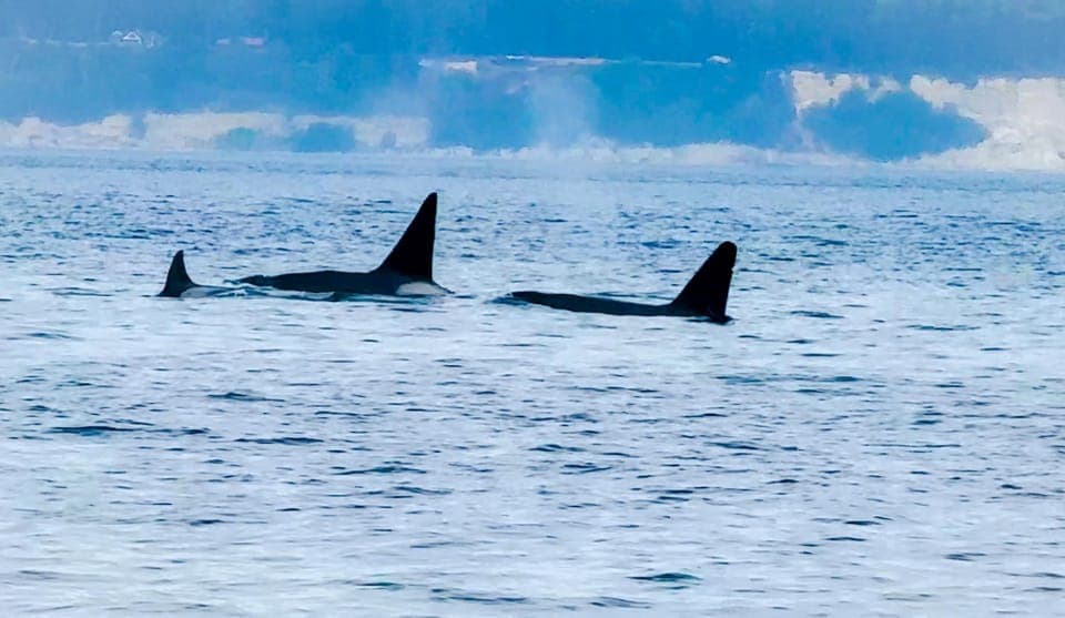 undefined Gallery Image 1