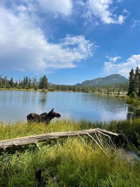 undefined Gallery Image 4