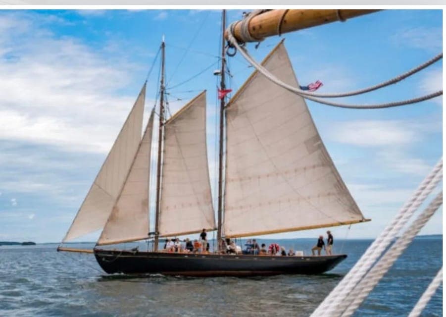 undefined Gallery Image 1