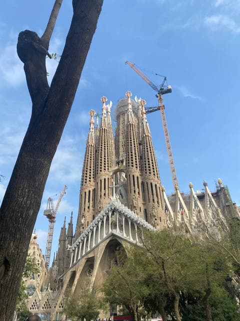 undefined Gallery Image 1