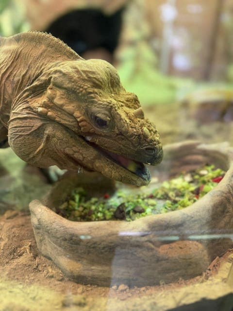 undefined Gallery Image 2